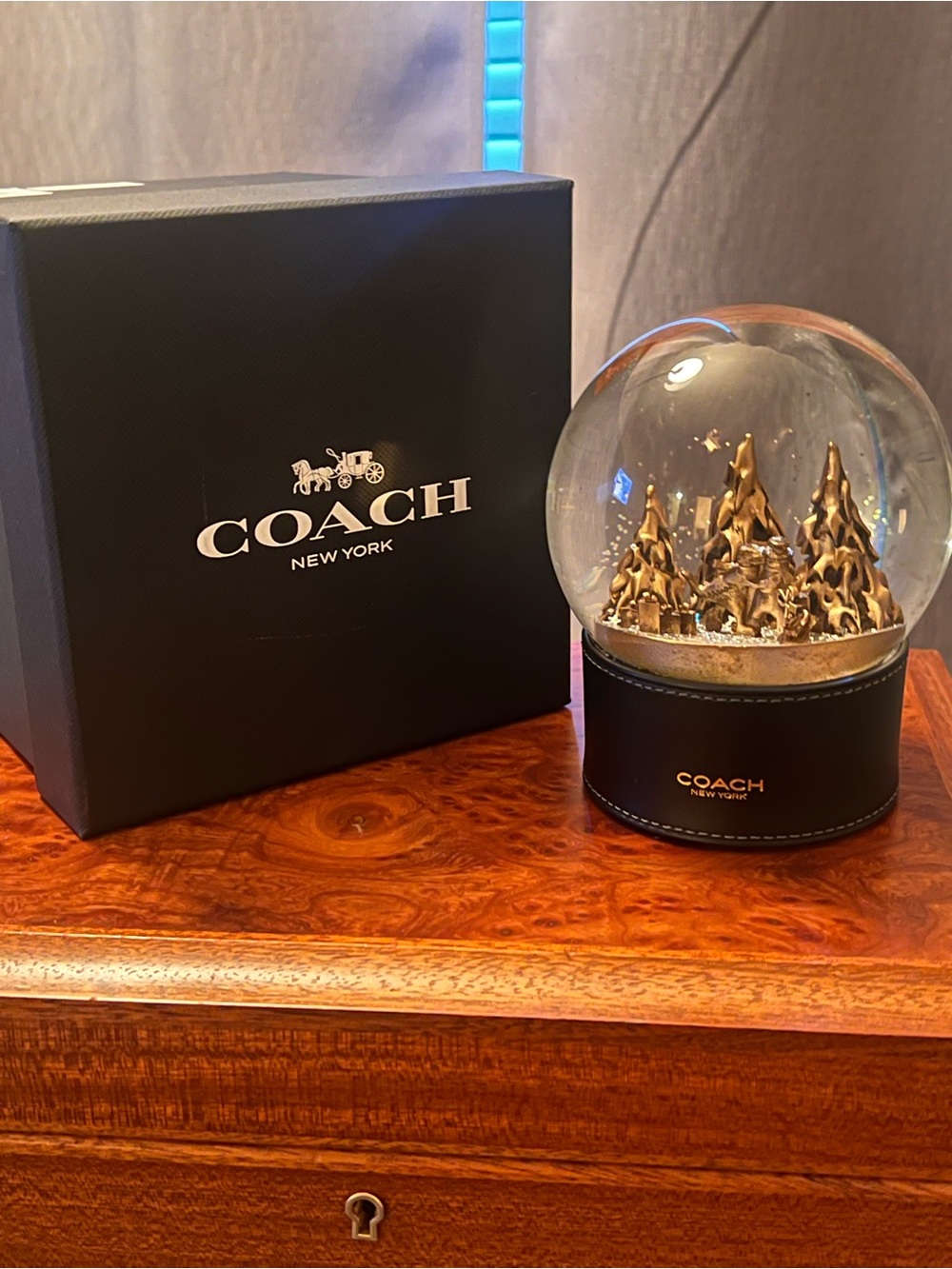 Coach Snowglobe